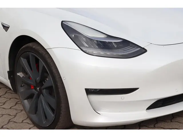 Tesla Model 3 Performance AWD 75 kWh 2019 Elektrisch 12