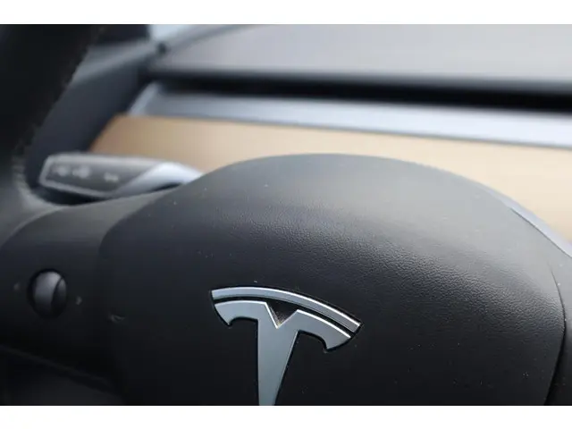 Tesla Model 3 Long Range AWD 75 kWh 2019 Elektrisch 14