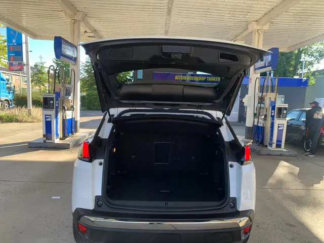 Peugeot 3008 1.2 PureTech Active 2019 Benzine 9