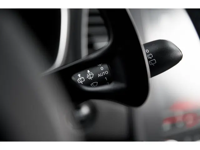 Renault Mégane 1.6 TCe GT*Automaat*4Control* 2017 Benzine 30