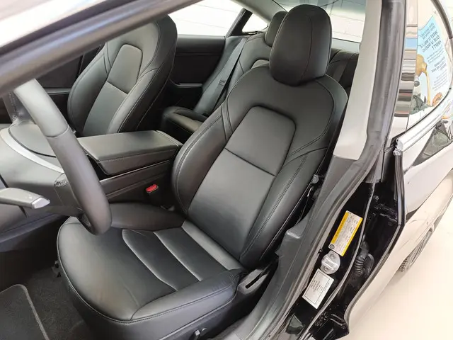 Tesla Model 3 Performance AWD 75 kWh 2020 Elektrisch 3