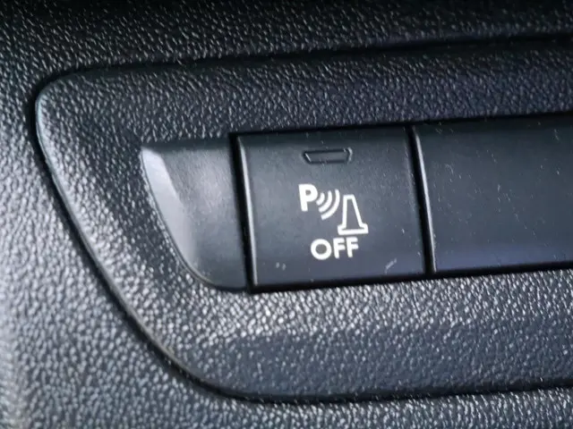 Peugeot 208 1.2 PureTech Blue Lion 2018 Benzine 14