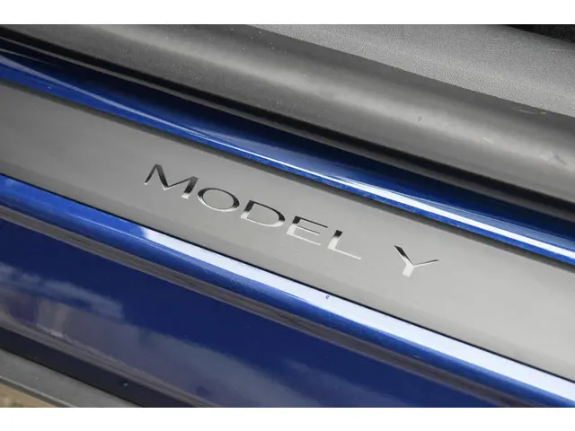 Tesla Model Y Long Range AWD 75 kWh 2021 Elektrisch 24