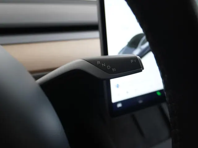 Tesla Model Y Long Range AWD 75 kWh 2021 Elektrisch 28