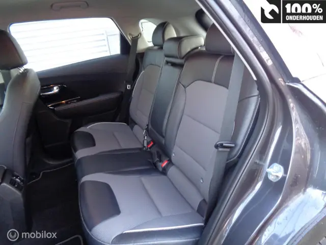 Kia e-Niro ExecutiveLine 64 kWh 2020 Elektrisch 8