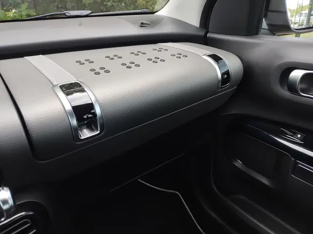 Citroën C4 Cactus 1.2 PureTech Origins 2019 Benzine 18