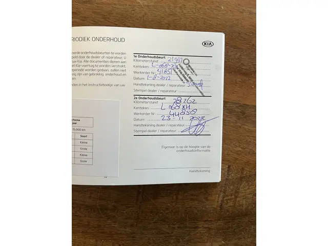 Kia e-Niro DynamicPlusLine 64 kWh 2021 Elektrisch 41