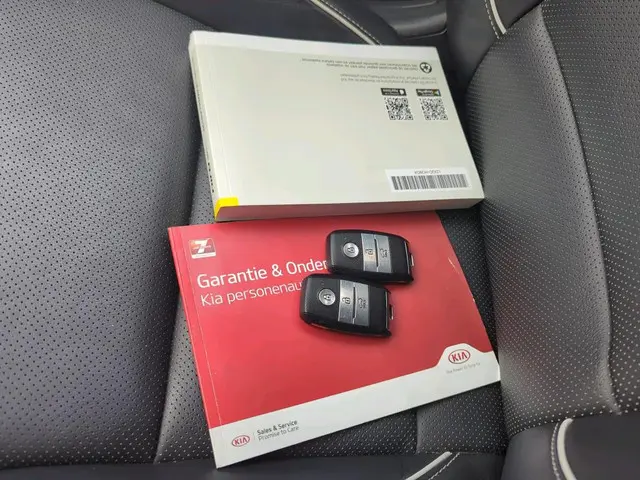 Kia e-Niro ExecutiveLine 64 kWh 2020 Elektrisch 13