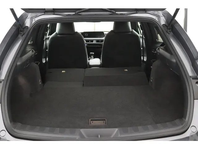 Lexus UX 250h Preference Line 2021 Hybride Benzine 32