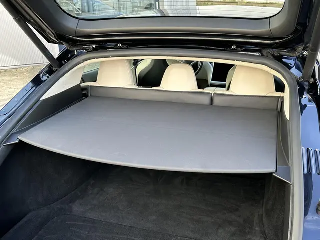 Tesla Model S 100D 2018 Elektrisch 21