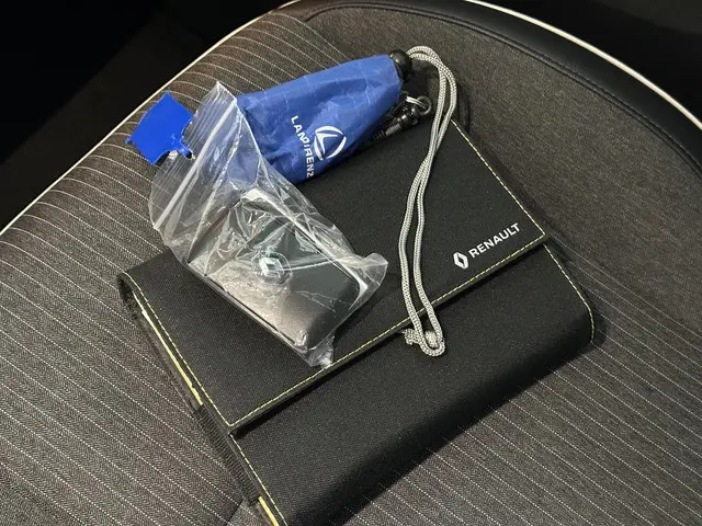 Renault Clio 1.0 TCe Bi-Fuel Intens 2020 LPG/Gas 16