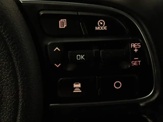 Kia e-Niro ExecutiveLine 64 kWh 2019 Elektrisch 23