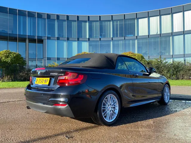 BMW 2 Serie Cabrio 220i M Sport 2016 Benzine 3