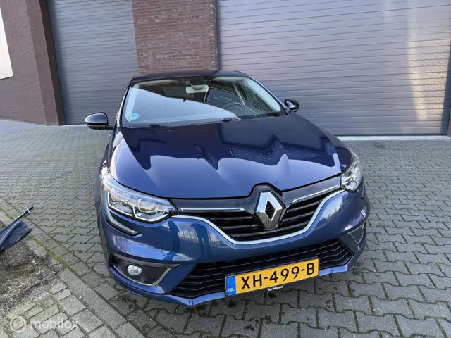 Renault Mégane 1.3 TCe Limited 2019 2019 Benzine 3