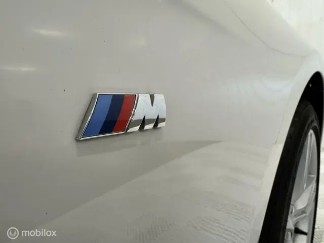 BMW 3 Serie 316i M Sport Edition 2015 Benzine 19