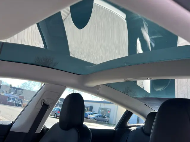 Tesla Model 3 Long Range AWD 75 kWh 2019 Elektrisch 6