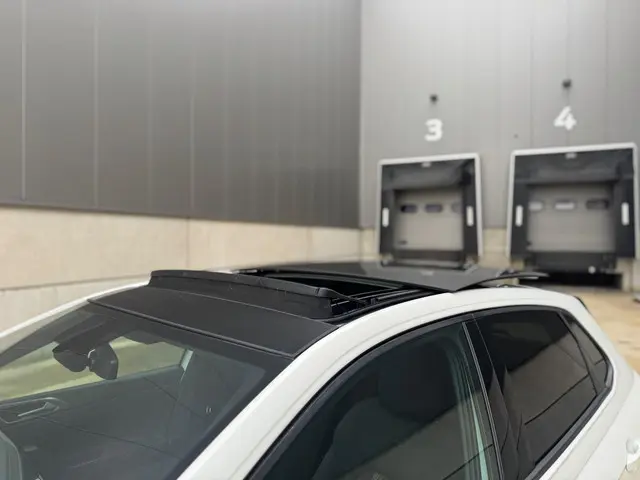 Volkswagen Polo 2.0 TSI GTI 2019 Benzine 11