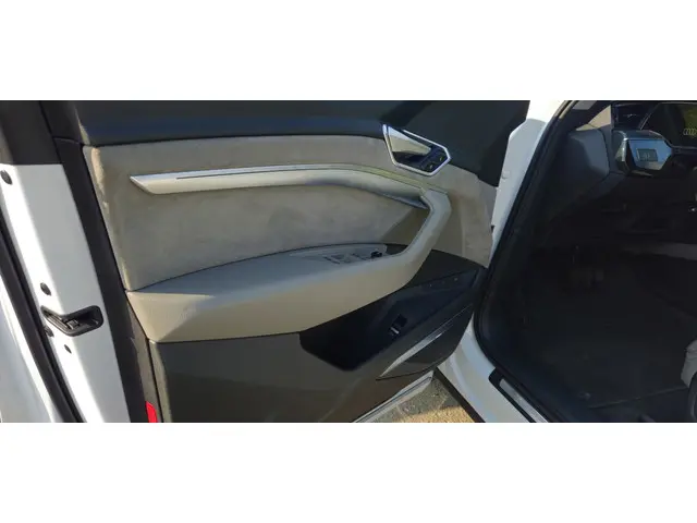 Audi e-tron 50 quattro S edition 71 kWh 2022 Elektrisch 19