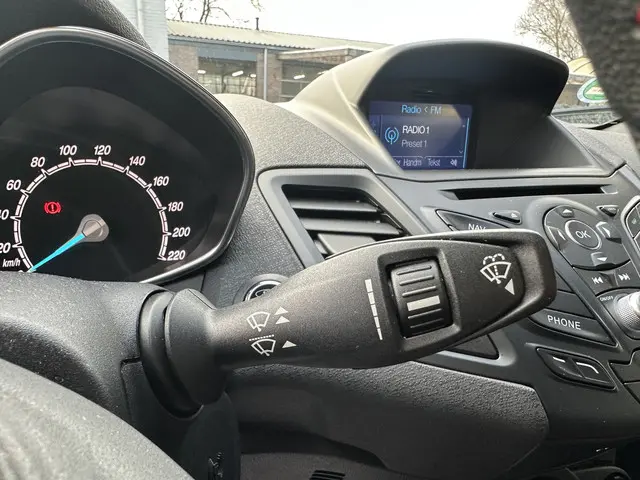 Ford Fiesta 1.0 EcoBoost Black Edition 2017 Benzine 22