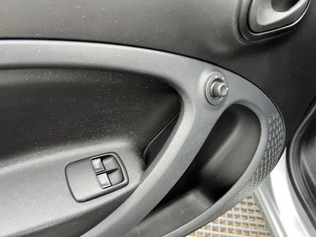 Smart Forfour 1.0 Pure 2017 Benzine 17