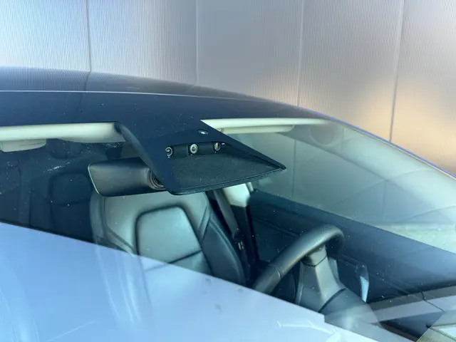 Tesla Model 3 Standard RWD Plus 60 kWh 2019 Elektrisch 14
