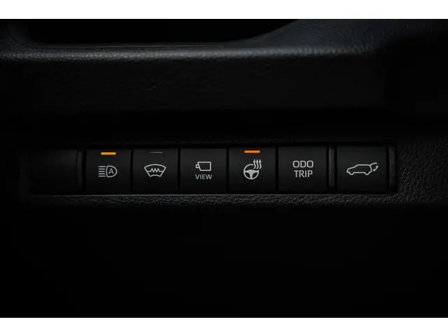 Toyota RAV4 2.5 HEV AWD Bi-Tone 2023 Hybride Benzine 24