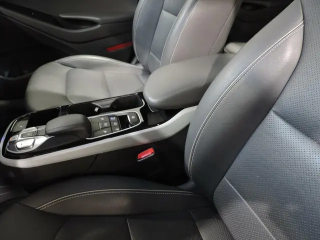 Hyundai IONIQ Premium EV 2018 Elektrisch 20