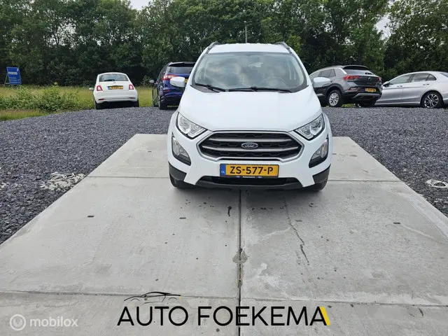 Ford EcoSport 1.0 EcoBoost Trend Ultimate 2019 Benzine 1