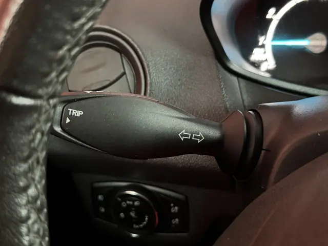 Ford Transit Courier 1.0 Trend 2019 Benzine 24