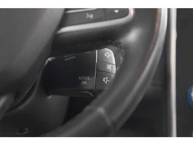 Renault Scénic TCe 140 EDC Bose 2021 Benzine 44