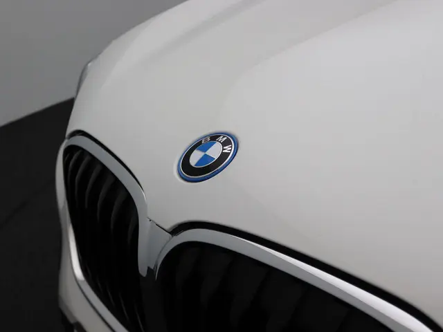 BMW X1 xDrive25e 2022 Hybride Benzine 7