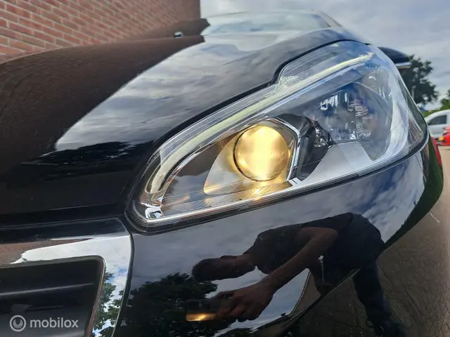 Peugeot 208 1.5 BlueHDi Blue Lease NAVI/TRKHK 2019 Diesel 10