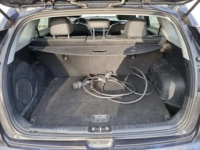 Kia e-Niro DynamicLine 64 kWh 2020 Elektrisch 5