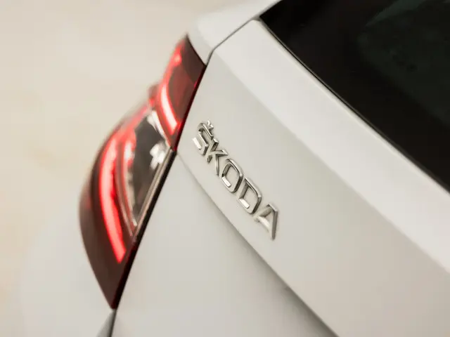 Škoda Fabia Combi 1.0 Luxury 2019 Benzine 29