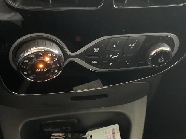 Renault ZOE R110 Limited 41 kWh (ex Accu) 2019 Elektrisch 12