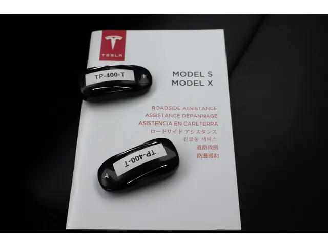 Tesla Model X 100D 6p. 2018 Elektrisch 5