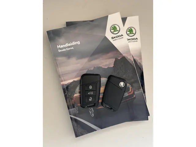 Škoda Karoq 1.5 TSI ACT Business Edition 2024 Benzine 31