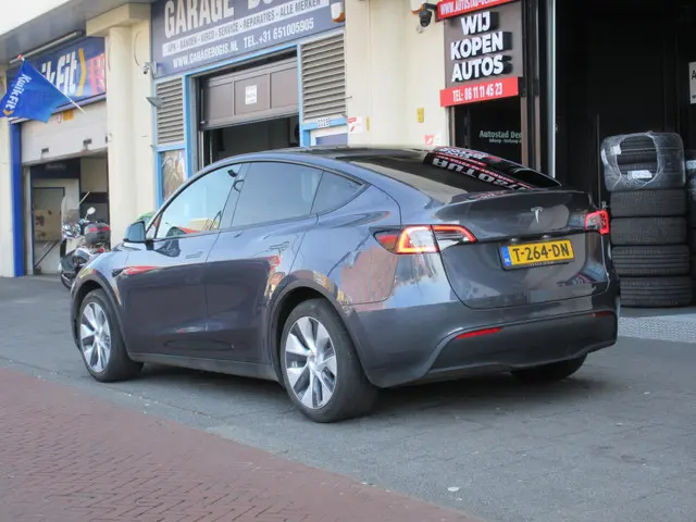 Tesla Model Y RWD 58 kWh 2023 Elektrisch 2