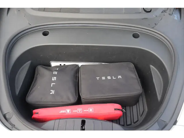 Tesla Model 3 Standard RWD Plus 60 kWh 2021 Elektrisch 23