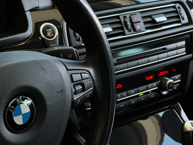BMW 5 Serie Touring 520i Executive 2015 Benzine 18