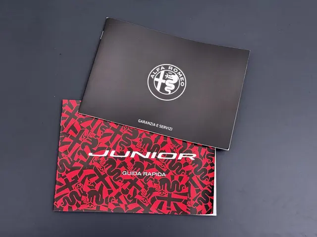 Alfa Romeo Junior Elettrica 54 kWh 2025 Elektrisch 38