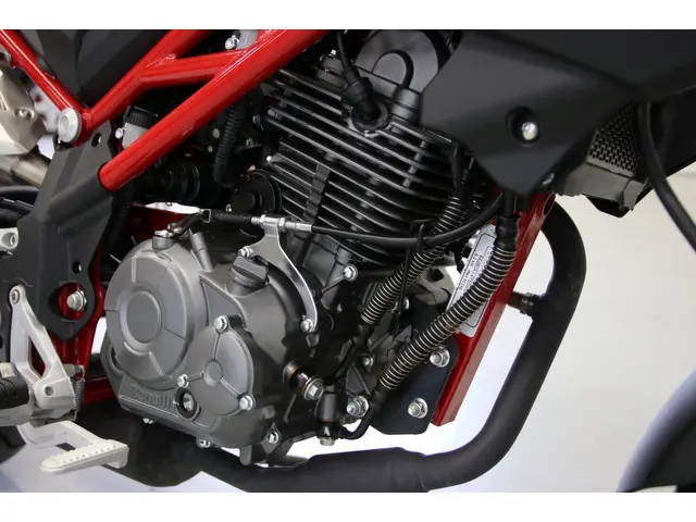 Benelli Tornado Tour Naked T 125 409KM! 2022 Benzine 2