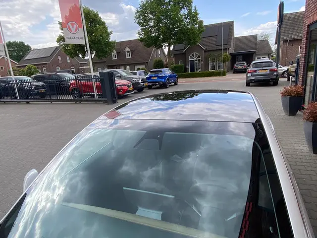 Tesla Model 3 Standard RWD Plus 60 kWh 2020 Elektrisch 17