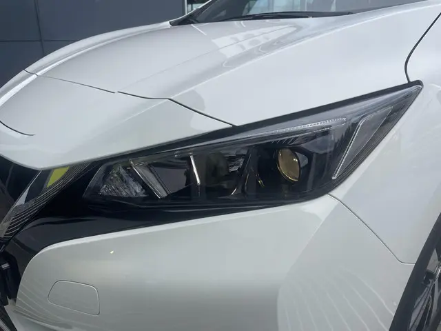 Nissan Leaf Acenta 40 kWh 2020 Elektrisch 24