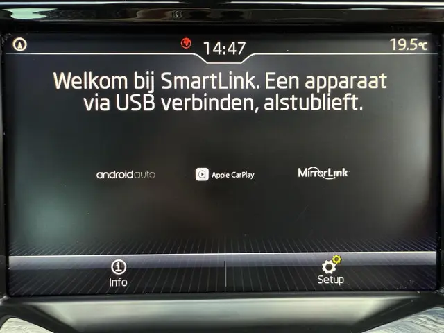 Škoda Fabia Combi 1.0 TSI Sport Business 2020 Benzine 21