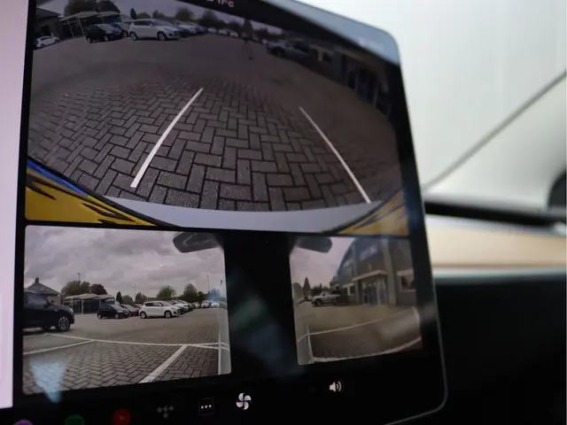 Tesla Model 3 Standard RWD Plus 60 kWh 2019 Elektrisch 47