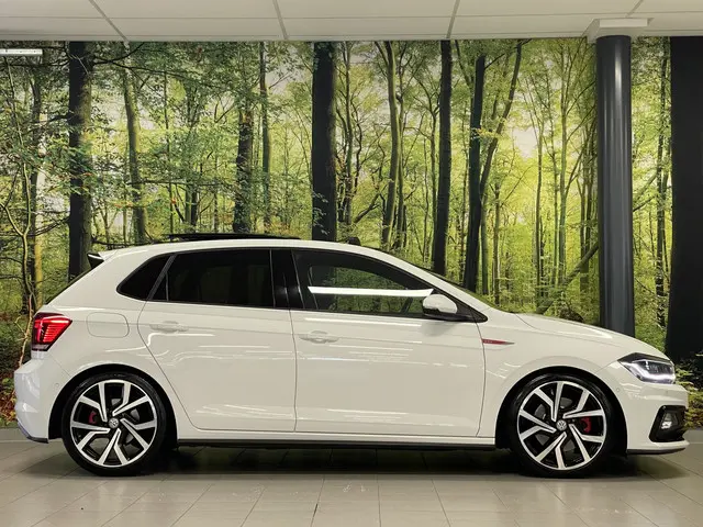 Volkswagen Polo 2.0 TSI GTI 2018 Benzine 4