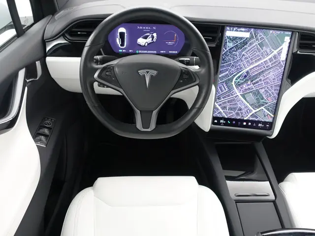 Tesla Model X Long Range Black Pack- 2019 Elektrisch 6