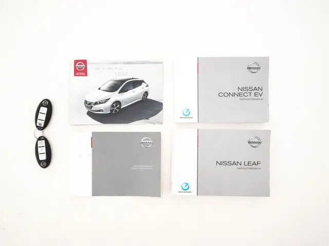 Nissan Leaf Tekna 40 kWh 2019 Elektrisch 33
