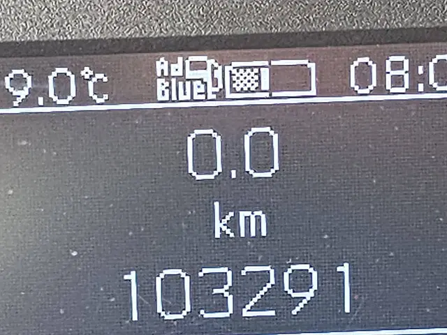 Mercedes-Benz Sprinter 314 2020 Diesel 9